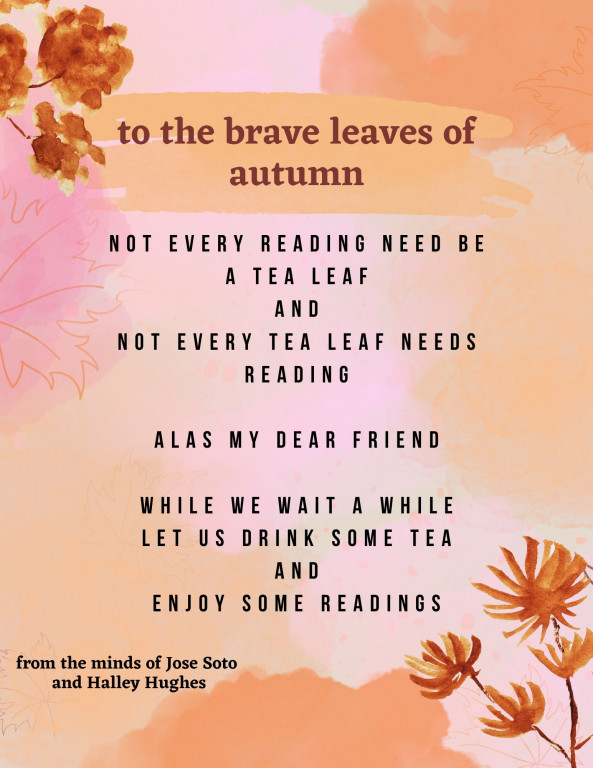 A pink and peach-colored poster with the text of a poem by Jose Soto and Halley Hughes. The poem is inspired by their discussion on the science of Ecoclimate telecommunications.